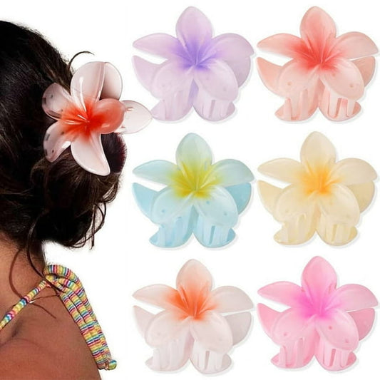 Gancho hawaiano de colores surtidos